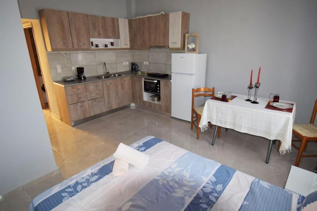 Moshovia Studio Κάρπαθος Στο Κέντρο Και Ήσυχα Villa Екстериор снимка